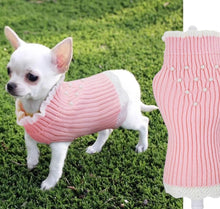 Load image into Gallery viewer, NEW Perla dog jumper