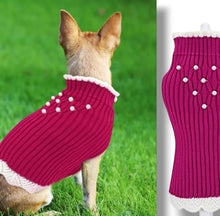 Load image into Gallery viewer, NEW Perla dog jumper