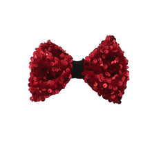 Load image into Gallery viewer, NEW Dog hair bow clip