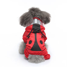 Load image into Gallery viewer, LadyBug Rain Dog All in one
