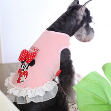 Load image into Gallery viewer, NEW Minnie dog jumper