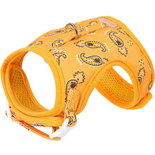 Load image into Gallery viewer, DogLemi Pet Harness
