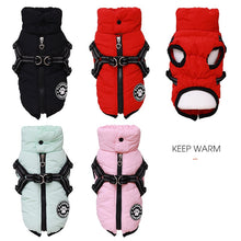 Load image into Gallery viewer, Fashion Chicdog dog harness jacket