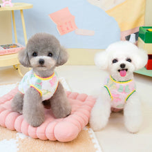 Load image into Gallery viewer, Butterfly Dog Jumper
