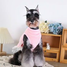 Load image into Gallery viewer, NEW Minnie dog jumper