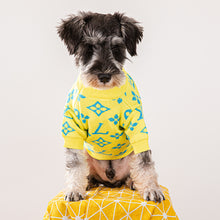 Load image into Gallery viewer, Louis Dog Jumper