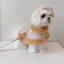 Load image into Gallery viewer, NEW Elegance dog cape