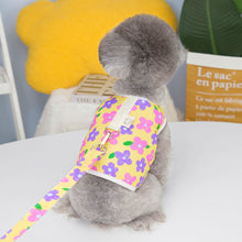 Load image into Gallery viewer, NEW Happy Paw dog harness