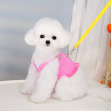 Load image into Gallery viewer, Fiesta Dog Harness