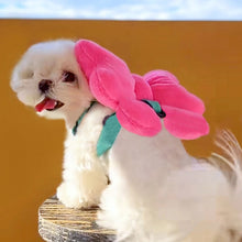 Load image into Gallery viewer, Minnie Bow Pet Harness