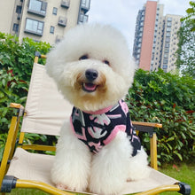 Load image into Gallery viewer, NEW Designer inspired jumper