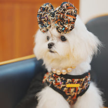 Load image into Gallery viewer, Large Dog Hair Bow Clip