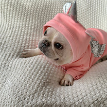 Load image into Gallery viewer, NEW Frenchie Angel dog jumper wide fit