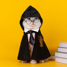 Load image into Gallery viewer, NEW Harry Potter dog cape