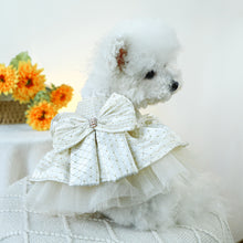 Load image into Gallery viewer, NEW Roman dog dress