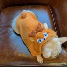 Load image into Gallery viewer, NEW Frenchie Emo dog jumper wide fit