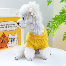 Load image into Gallery viewer, Raaar dog knit jumper