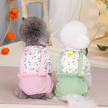 Load image into Gallery viewer, Fruit Print Dog Dungaree Outfit