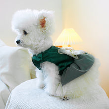 Load image into Gallery viewer, NEW Prestige dog dress