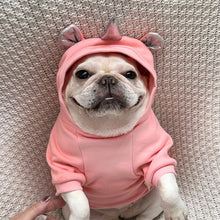 Load image into Gallery viewer, NEW Frenchie Angel dog jumper wide fit