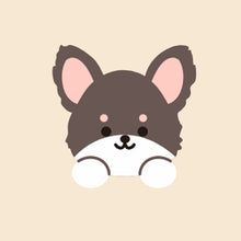 Load image into Gallery viewer, NEW Pet Bowl with Stand