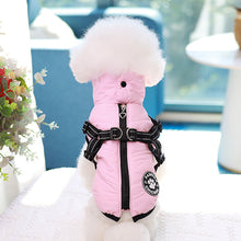 Load image into Gallery viewer, Fashion Chicdog dog harness jacket