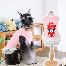 Load image into Gallery viewer, NEW Minnie dog jumper