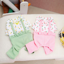 Load image into Gallery viewer, Fruit Print Dog Dungaree Outfit