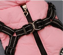 Load image into Gallery viewer, Fashion Chicdog dog harness jacket