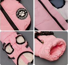Load image into Gallery viewer, Fashion Chicdog dog harness jacket