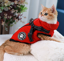 Load image into Gallery viewer, Fashion Chicdog dog harness jacket