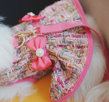 Load image into Gallery viewer, Bardiva dog harness dress
