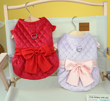 Load image into Gallery viewer, NEW Chrystella dog jacket