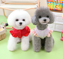 Load image into Gallery viewer, NEW Chrystella dog jacket