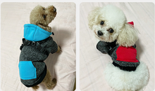 Load image into Gallery viewer, Sports dog harness jumper