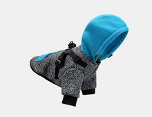 Load image into Gallery viewer, Sports dog harness jumper