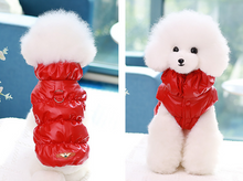 Load image into Gallery viewer, NEW Grane dog jacket