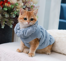 Load image into Gallery viewer, NEW Grane dog jacket