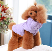 Load image into Gallery viewer, NEW Grane dog jacket