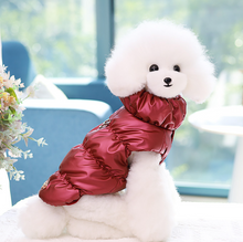 Load image into Gallery viewer, NEW Grane dog jacket