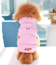 Load image into Gallery viewer, NEW Grane dog jacket