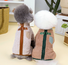 Load image into Gallery viewer, NEW Rio dog all in one