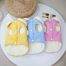 Load image into Gallery viewer, NEW Sweetheart dog coat