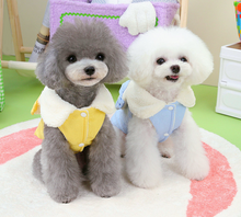 Load image into Gallery viewer, NEW Sweetheart dog coat