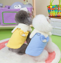 Load image into Gallery viewer, NEW Sweetheart dog coat