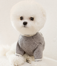 Load image into Gallery viewer, NEW Dion dog jumper