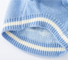 Load image into Gallery viewer, NEW Dion dog jumper