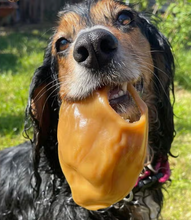 Load image into Gallery viewer, Makspatch Natural Vegan Dog Treats. Pigs Ear Shaped.
