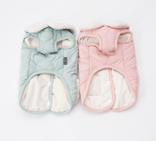 Load image into Gallery viewer, NEW Mr.Teddy D ring Dog Jacket