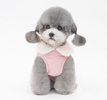 Load image into Gallery viewer, NEW Mr.Teddy D ring Dog Jacket